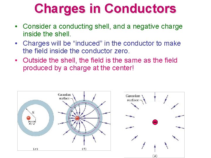 Charges in Conductors • Consider a conducting shell, and a negative charge inside the