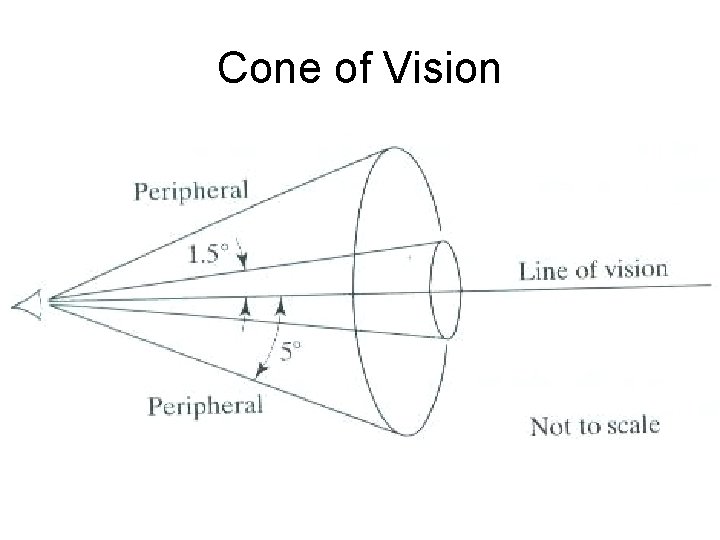 Cone of Vision 