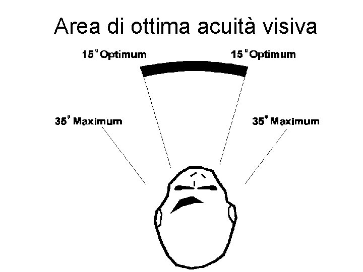 Area di ottima acuità visiva 