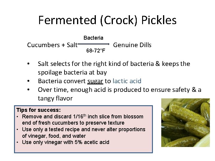 Fermented (Crock) Pickles Cucumbers + Salt • • • Bacteria 68 -72°F Genuine Dills