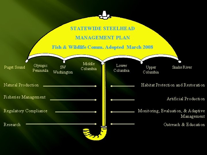 STATEWIDE STEELHEAD MANAGEMENT PLAN Fish & Wildlife Comm. Adopted March 2008 Puget Sound Olympic