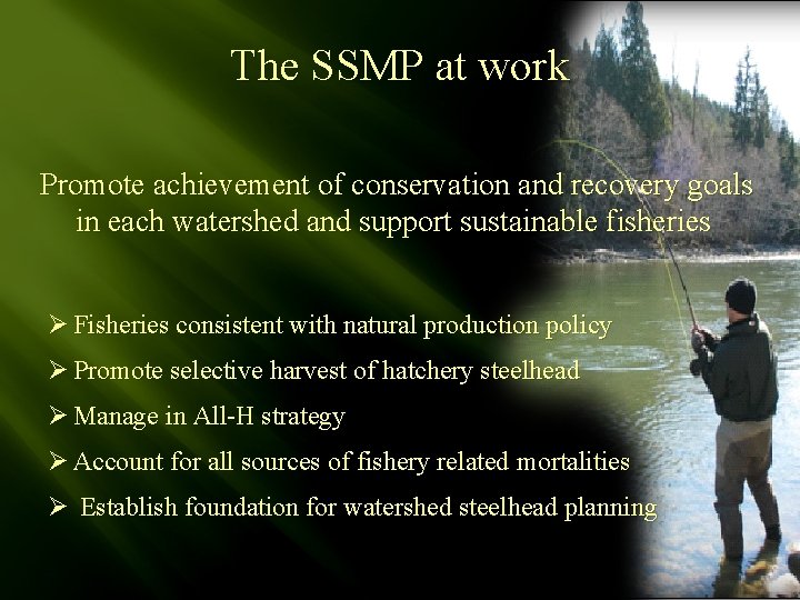 The SSMP at work Promote achievement of conservation and recovery goals in each watershed