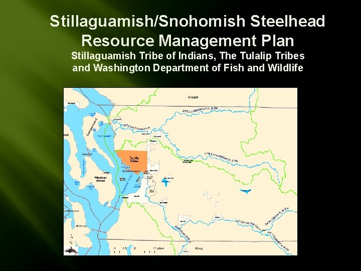 Stillaguamish/Snohomish Steelhead Resource Management Plan Stillaguamish Tribe of Indians, The Tulalip Tribes and Washington