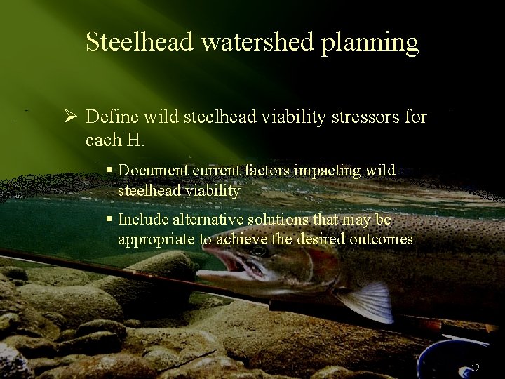 Steelhead watershed planning Ø Define wild steelhead viability stressors for each H. § Document