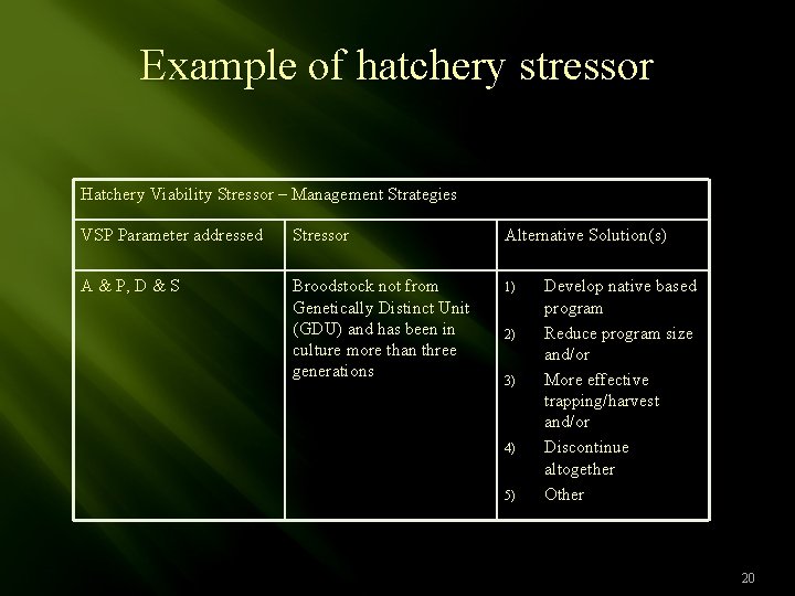 Example of hatchery stressor Hatchery Viability Stressor – Management Strategies VSP Parameter addressed Stressor