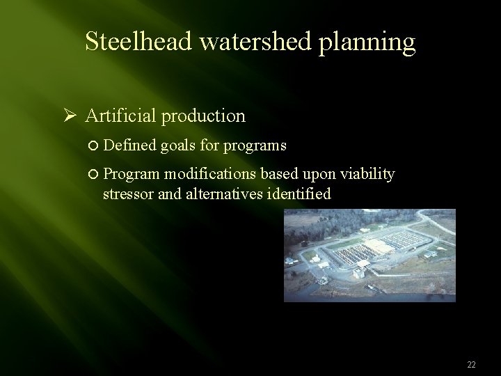 Steelhead watershed planning Ø Artificial production Defined goals for programs Program modifications based upon