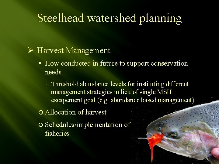 Steelhead watershed planning Ø Harvest Management § How conducted in future to support conservation