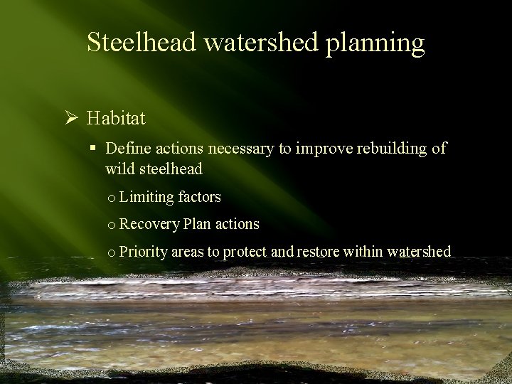 Steelhead watershed planning Ø Habitat § Define actions necessary to improve rebuilding of wild