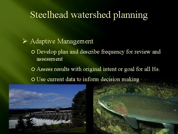 Steelhead watershed planning Ø Adaptive Management Develop plan and describe frequency for review and