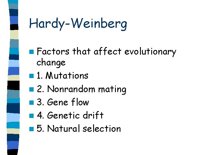 Hardy-Weinberg n Factors that affect evolutionary change n 1. Mutations n 2. Nonrandom mating