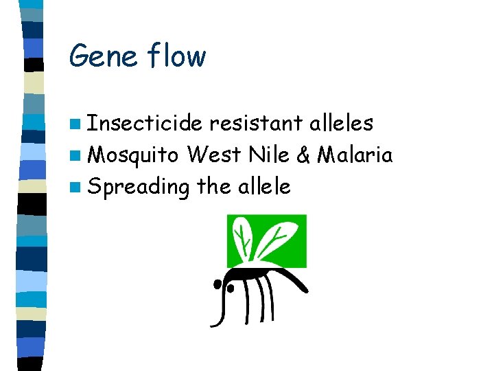 Gene flow n Insecticide resistant alleles n Mosquito West Nile & Malaria n Spreading