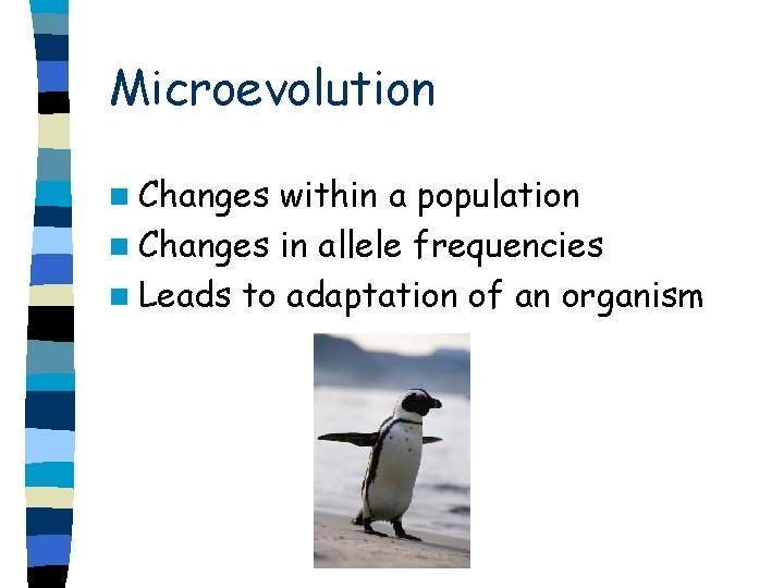 Microevolution n Changes within a population n Changes in allele frequencies n Leads to