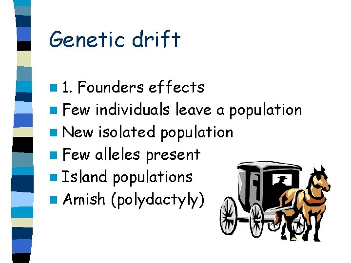 Genetic drift n 1. Founders effects n Few individuals leave a population n New