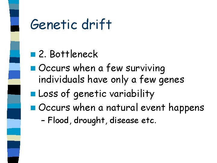 Genetic drift n 2. Bottleneck n Occurs when a few surviving individuals have only