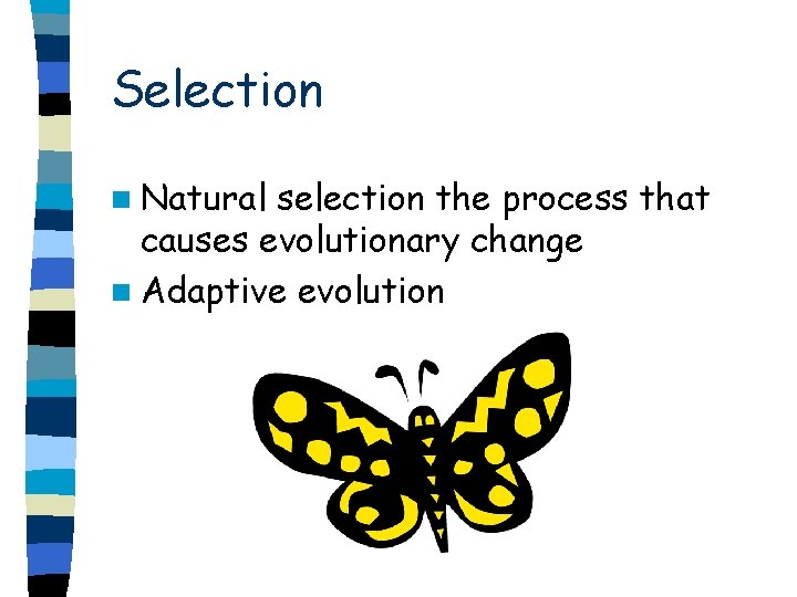 Selection n Natural selection the process that causes evolutionary change n Adaptive evolution 
