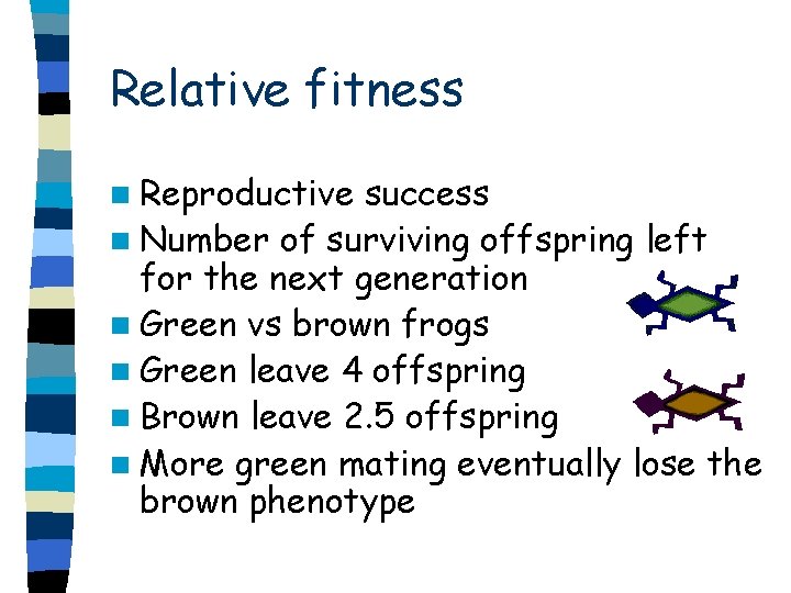 Relative fitness n Reproductive success n Number of surviving offspring left for the next