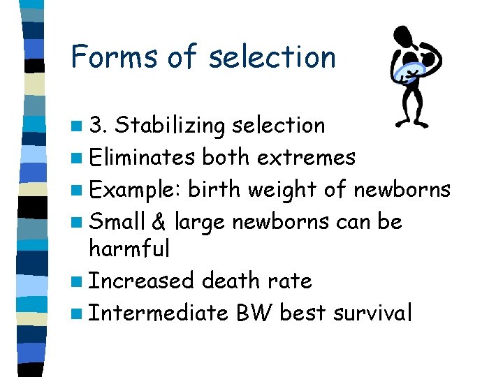 Forms of selection n 3. Stabilizing selection n Eliminates both extremes n Example: birth