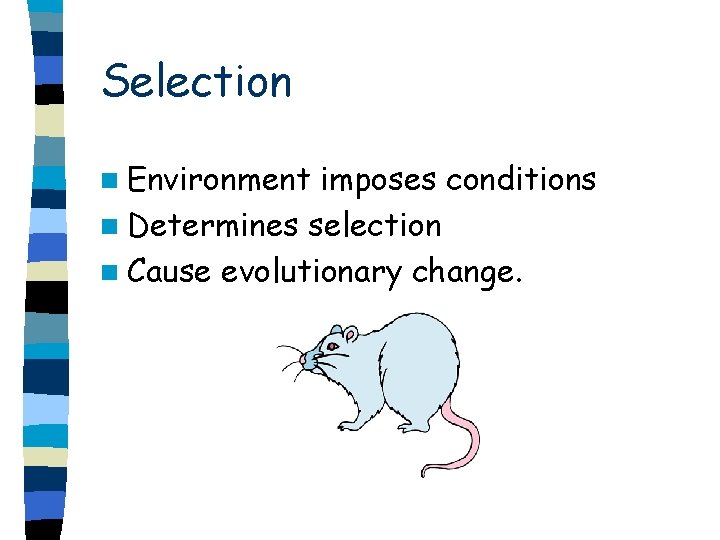 Selection n Environment imposes conditions n Determines selection n Cause evolutionary change. 