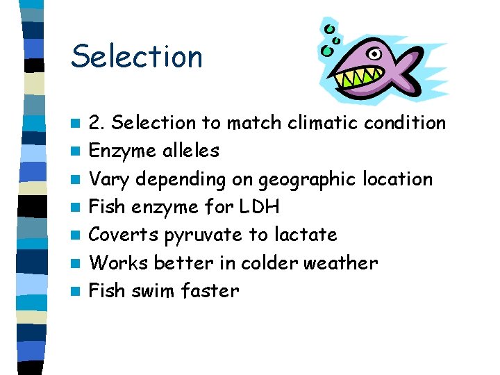 Selection n n n 2. Selection to match climatic condition Enzyme alleles Vary depending