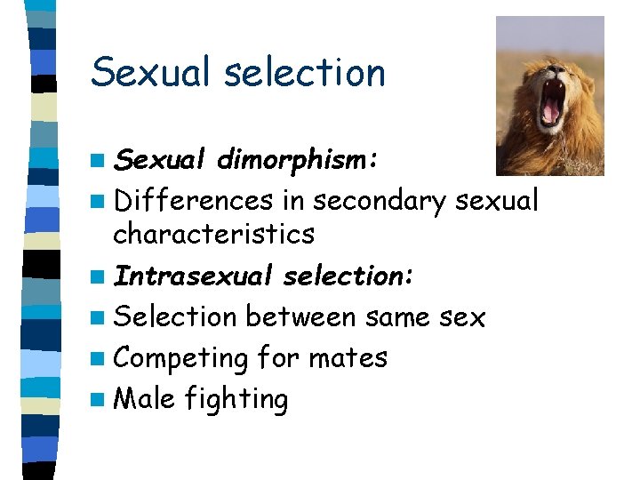 Sexual selection n Sexual dimorphism: n Differences in secondary sexual characteristics n Intrasexual selection: