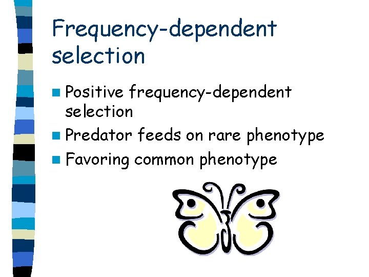 Frequency-dependent selection n Positive frequency-dependent selection n Predator feeds on rare phenotype n Favoring