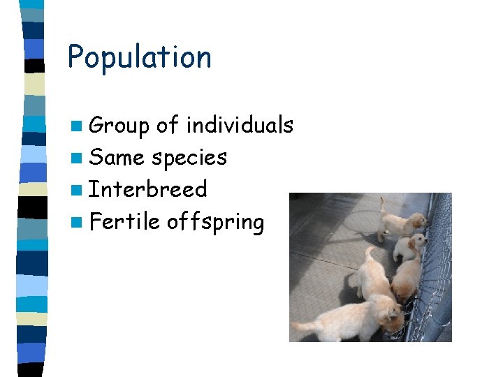 Population n Group of individuals n Same species n Interbreed n Fertile offspring 