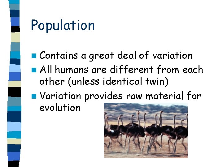 Population n Contains a great deal of variation n All humans are different from