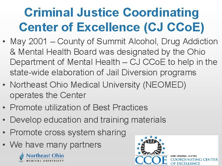 Criminal Justice Coordinating Center of Excellence (CJ CCo. E) • May 2001 – County