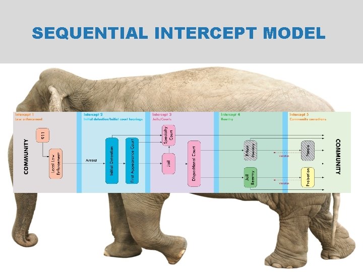 SEQUENTIAL INTERCEPT MODEL 