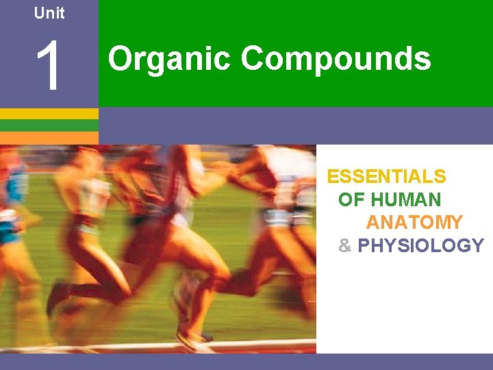 Unit 1 Organic Compounds ESSENTIALS OF HUMAN ANATOMY & PHYSIOLOGY 