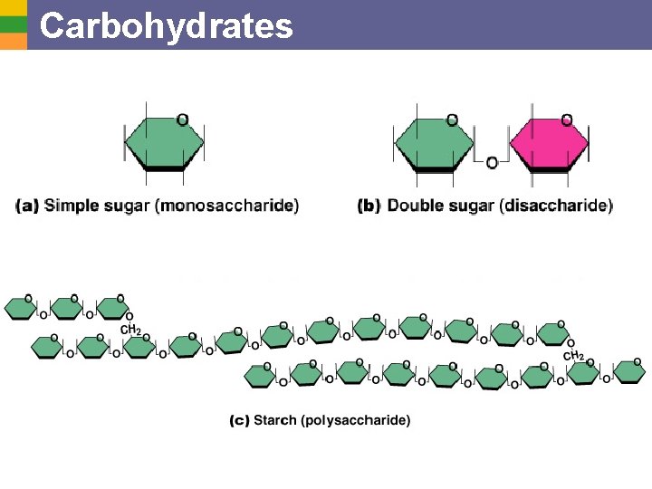 Carbohydrates 
