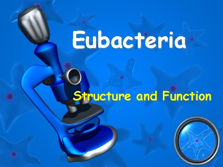 Eubacteria Structure and Function 2 