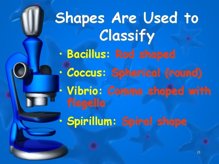 Shapes Are Used to Classify • Bacillus: Rod shaped • Coccus: Spherical (round) •