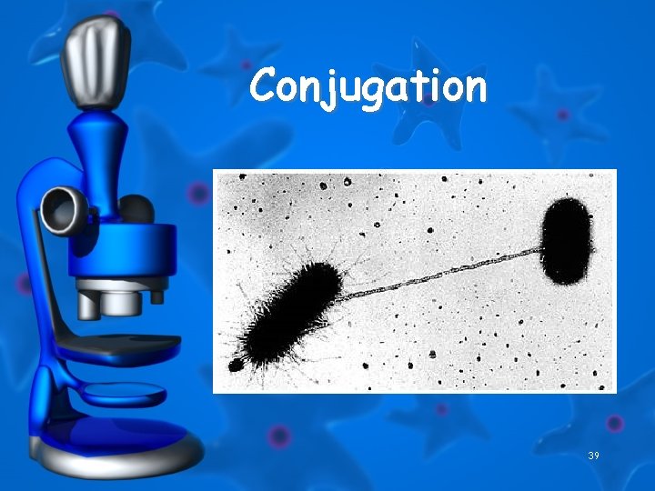 Conjugation 39 