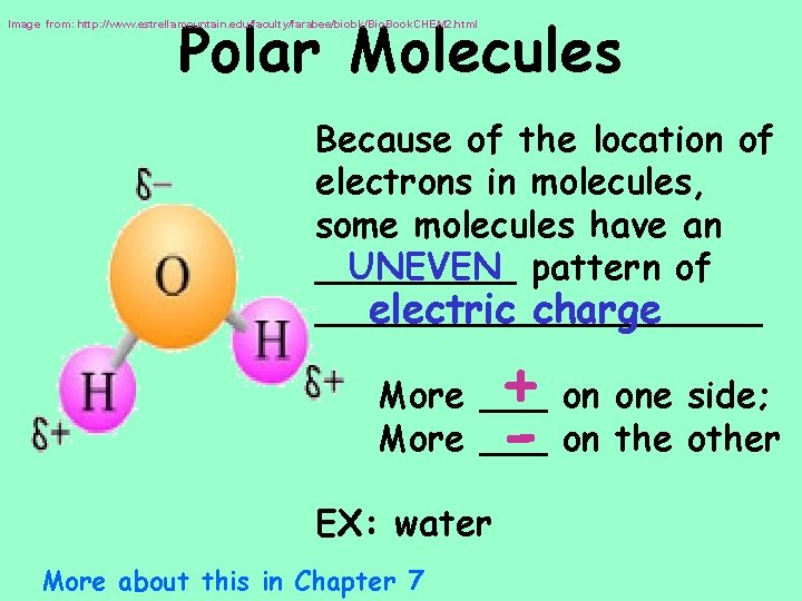 Polar Molecules Image from: http: //www. estrellamountain. edu/faculty/farabee/biobk/Bio. Book. CHEM 2. html Because of