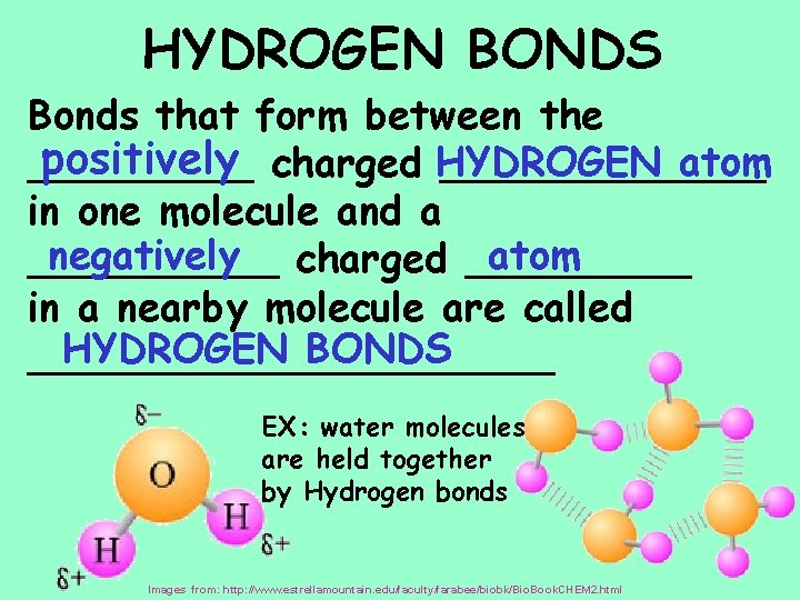 HYDROGEN BONDS Bonds that form between the positively charged HYDROGEN atom _____________ in one