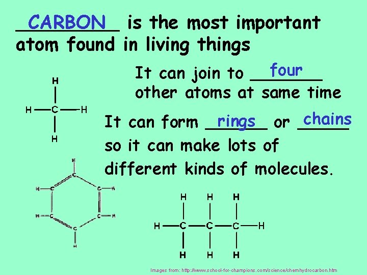 _____ CARBON is the most important atom found in living things four It can