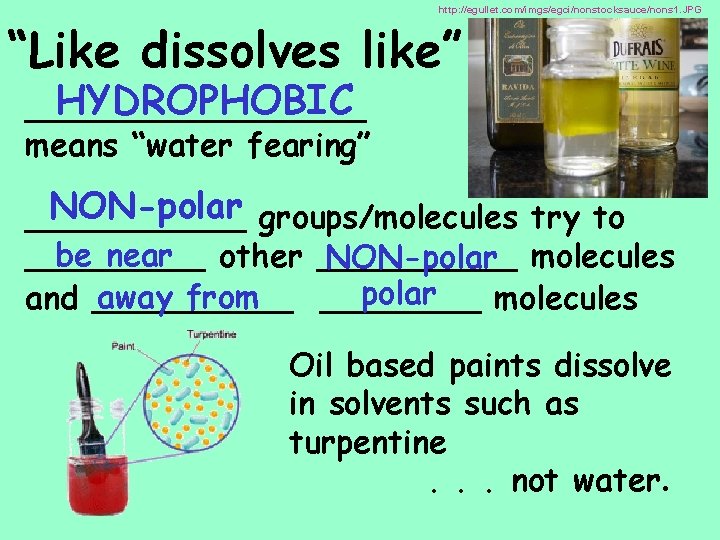 http: //egullet. com/imgs/egci/nonstocksauce/nons 1. JPG “Like dissolves like” HYDROPHOBIC _________ means “water fearing” NON-polar