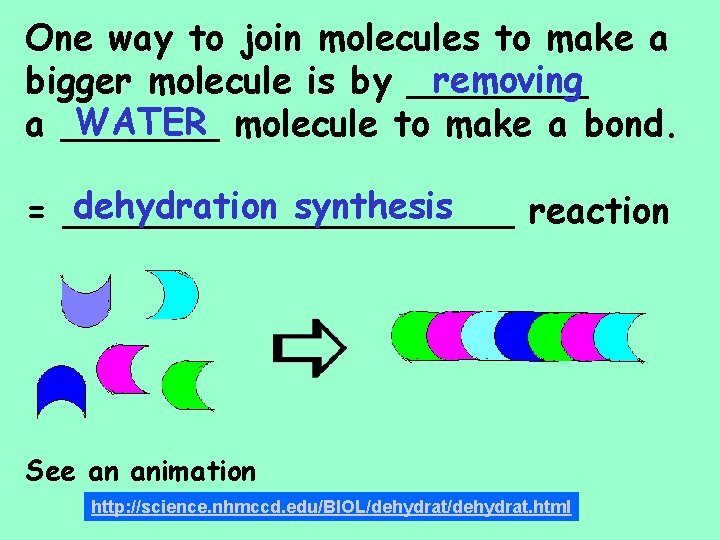 One way to join molecules to make a removing bigger molecule is by ____