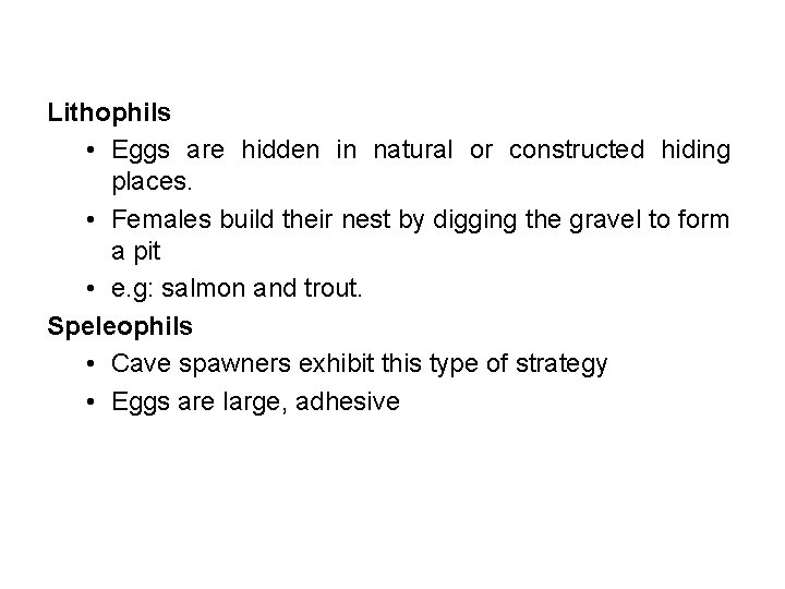 Lithophils • Eggs are hidden in natural or constructed hiding places. • Females build
