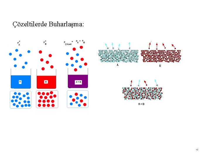 Çözeltilerde Buharlaşma: 48 