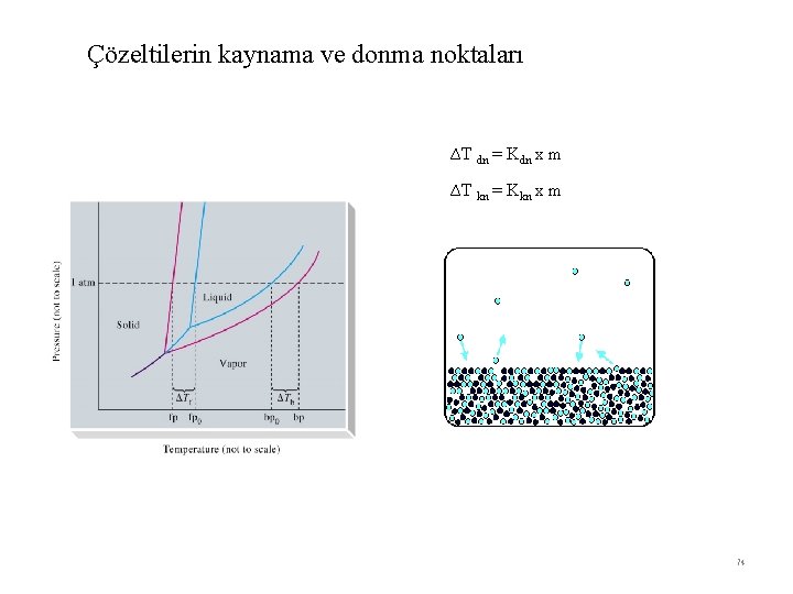 Çözeltilerin kaynama ve donma noktaları ∆T dn = Kdn x m ∆T kn =