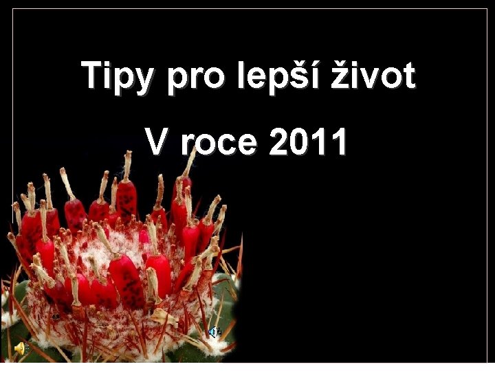 Tipy pro lepší život V roce 2011 