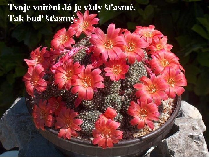 Tvoje vnitřní Já je vždy šťastné. Tak buď šťastný. 