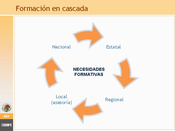 Formación en cascada Estatal Nacional NECESIDADES FORMATIVAS Local (asesoría) Regional 