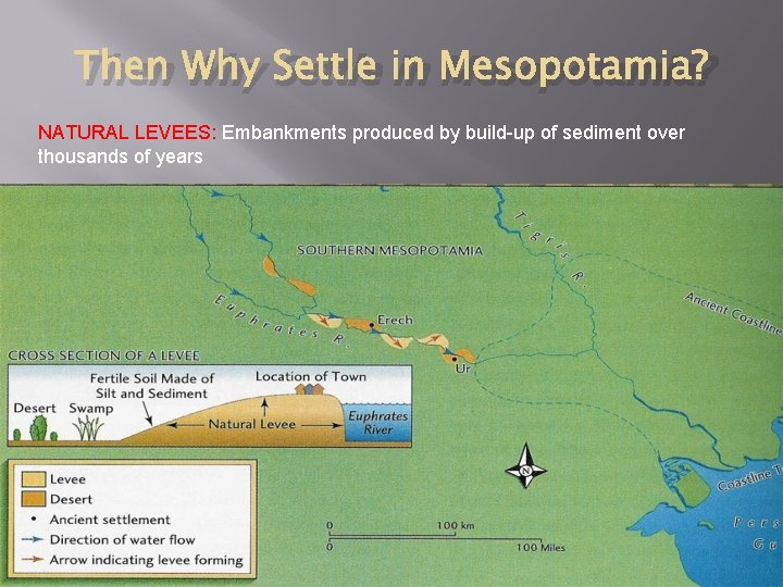 Then Why Settle in Mesopotamia? NATURAL LEVEES: Embankments produced by build-up of sediment over