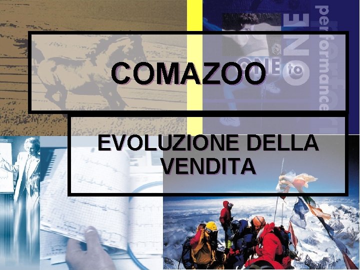 COMAZOO EVOLUZIONE DELLA VENDITA 1 