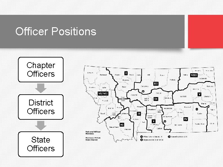 Officer Positions Chapter Officers District Officers State Officers 