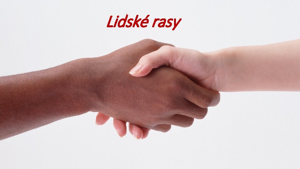 Lidsk rasy Pro na Zemi ij lid rznch