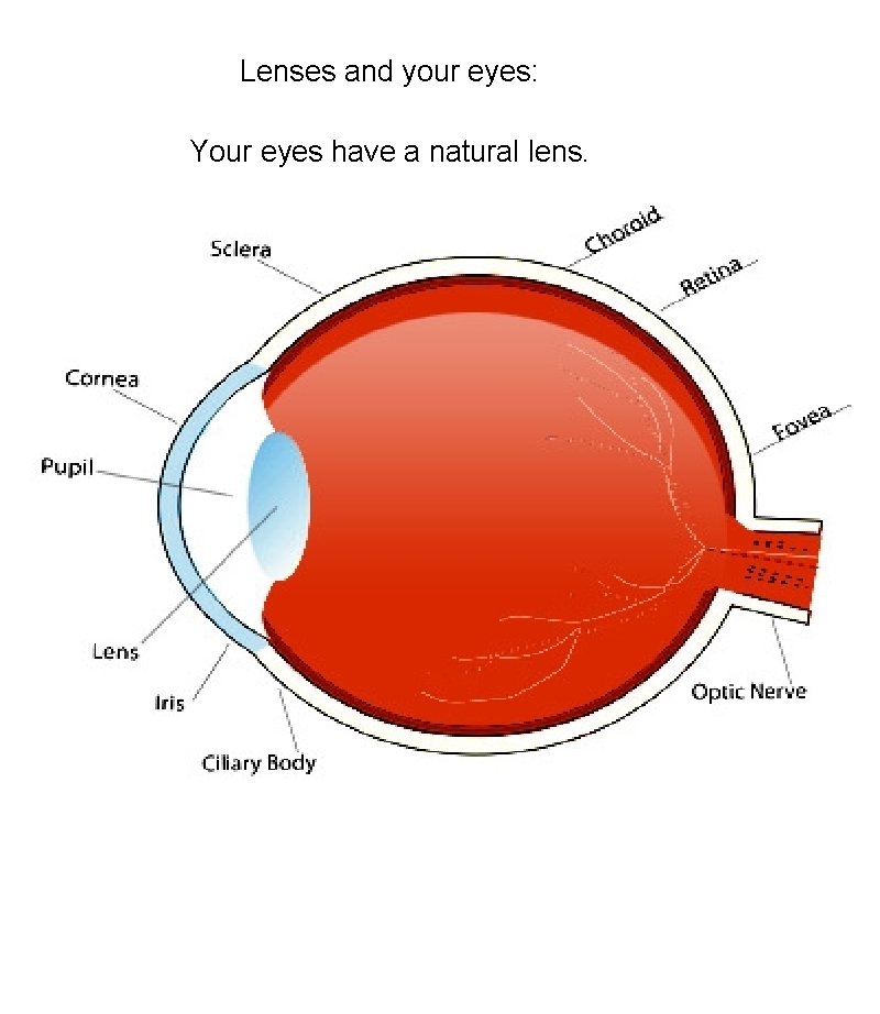 Lenses and your eyes: Your eyes have a natural lens. 